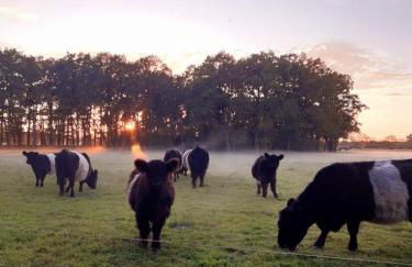 Gästesuite „Torfstich“ - Foto 3