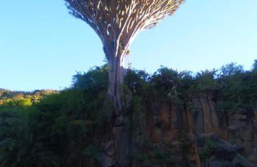 Mar de flores - Foto 20