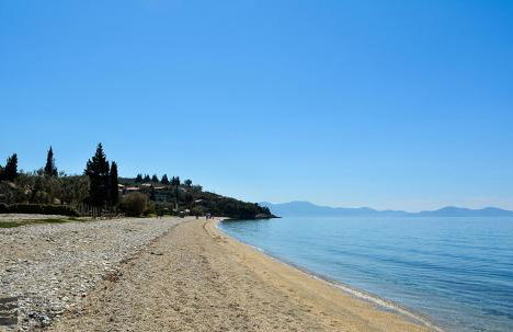 Stone Villa Pelion - Photo 52