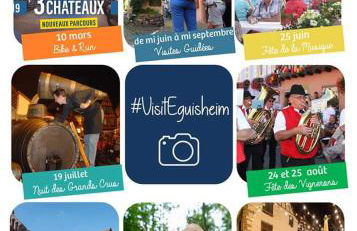 Fleur de Vigne - Foto 30