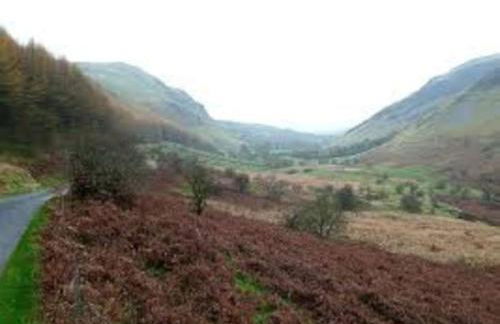 Yr Hen Efail - Old Smithy - Foto 42