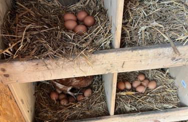 Ferienwohnung Segeln und Angeln - Foto 41