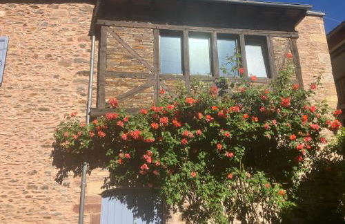 La maison d olivier - Photo 14