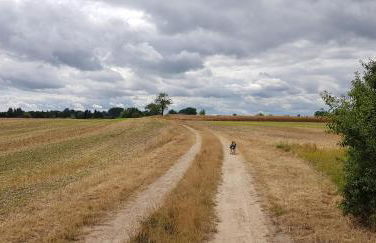 Haus an der Pferdekoppel am Blankenburger See - Photo 28
