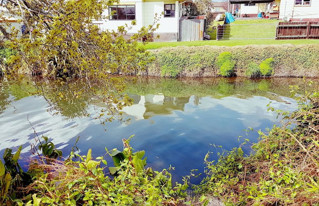 Cosy Cottage Thermal Holiday Park - Foto 48