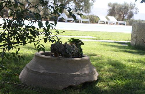 Terre di Senia - Foto 26