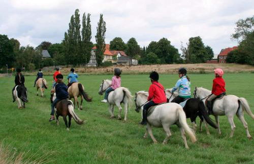 6 person holiday home in GROEMITZ - Photo 15