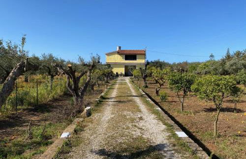 Villa Medusa - Foto 6