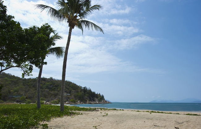 Beachcomber Unit 2 - Photo 13