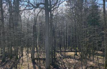 Apartament Nieznany Bór - Foto 35