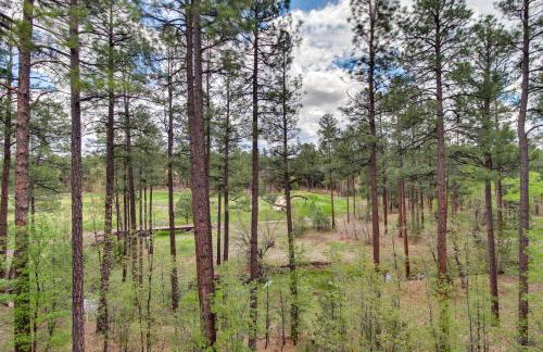 Top-Rated Torreon Community! Deck and Forest Views! - Foto 31