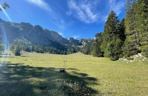 Ferienwohnung in Halblech - Photo 39