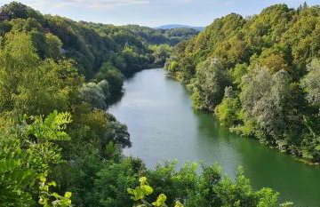 Happy Sparrow - Foto 58