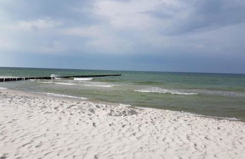 Boddenperle - Foto 14