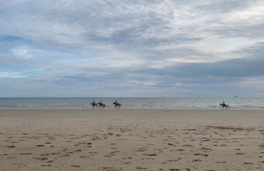 L'Horizon - Vue sur l'Océan - Foto 21