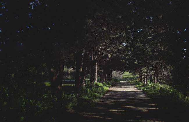 Colle San Mauro - Foto 70