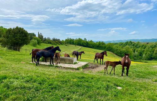 Poggiovalle Tenuta Italiana - Foto 49