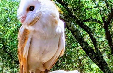 Vila Mafra - Grill Terrace - Foto 36