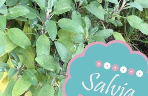 Villetta "Il Grillo" - Foto 7