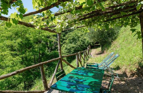 Fattoria di Pietrabuona - Foto 63