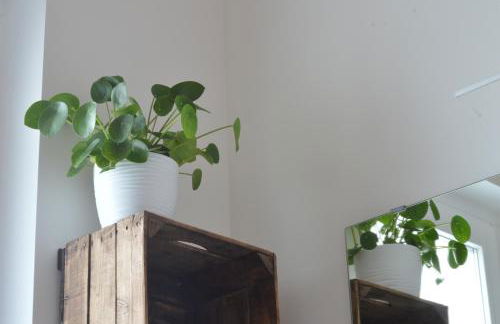 Agriturismo Pepe Rosa - Foto 28