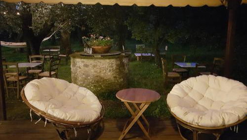 Antico Uliveto - Foto 5