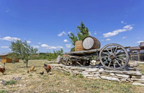 Maslina in Popovići (Haus für 5-7 Personen) - Photo 48