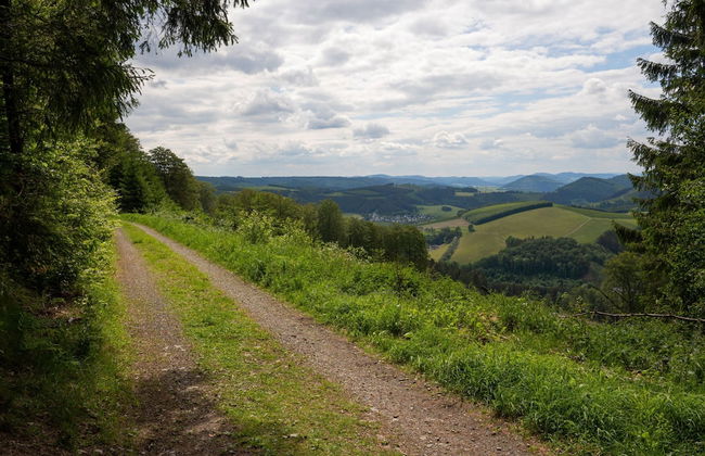 Apt - Neuastenbergerstrasse 4 Neuasten - Foto 16