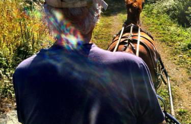 Gîte du Mont Gérard - Foto 27