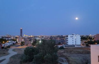 Platea de Sevilla - Foto 14