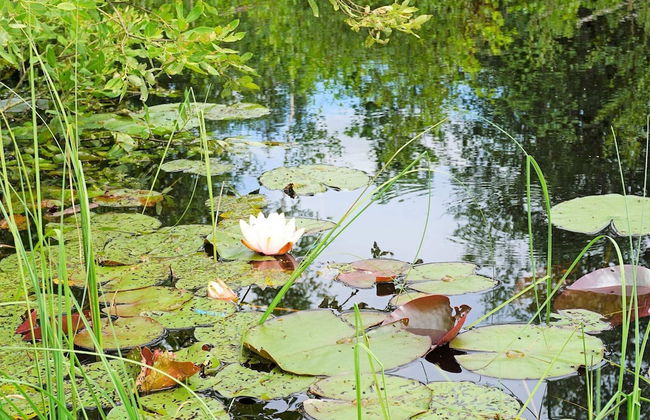 5 Person Holiday Home in Tingsryd-by Traum - Foto 17