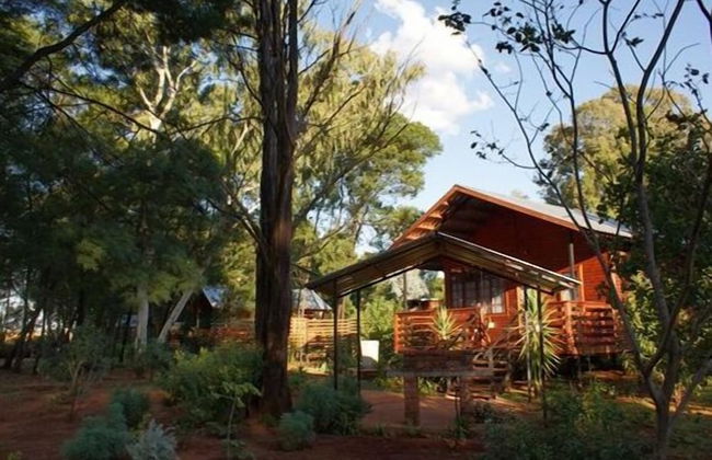 Woodland Gardens - Photo 48