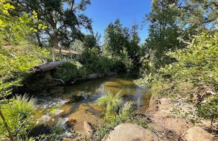 Creekside Suite Sleeps 2 Creek frontage Bbq - Foto 16