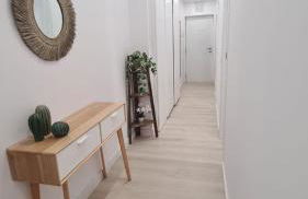 Mariposa Azul - Foto 21