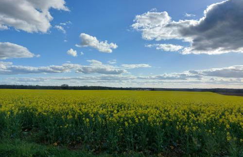 "Le petit bonheur" Gîte van 4 tot 12 personen met privé vijver van 2Ha - Foto 29
