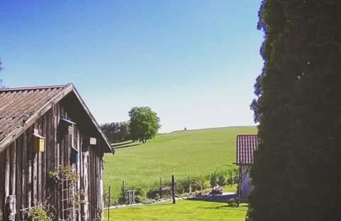 W starej szkole - agroturystyka - Foto 38