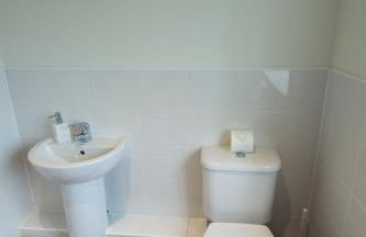 The Allendale Wolf - Foto 46