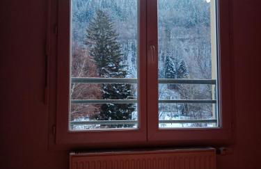 Apartment In Allemont - Foto 23