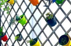 Civico 381 - private parking - Photo 34