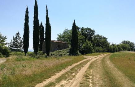 Attico a Barberino di Mugello - Foto 20
