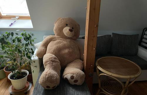 Übernachten im Grünen - Foto 14