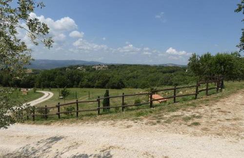 Scappo in Umbria, Le Salce - Foto 41