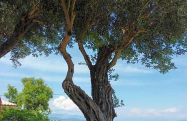 Beachfront Romantica Place Ground floor - Foto 4