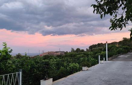 Il Limoneto di Leo - Foto 49