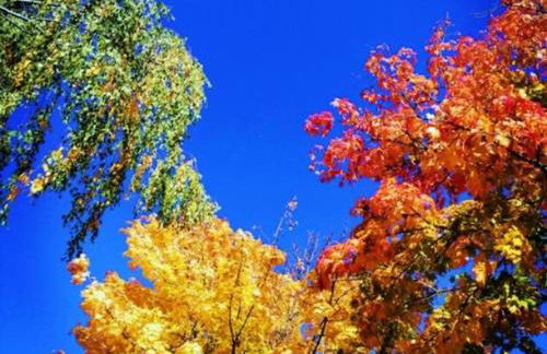 The Cozy Cottage - Foto 29