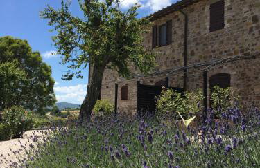 La Luna di Mezzanotte - Foto 9