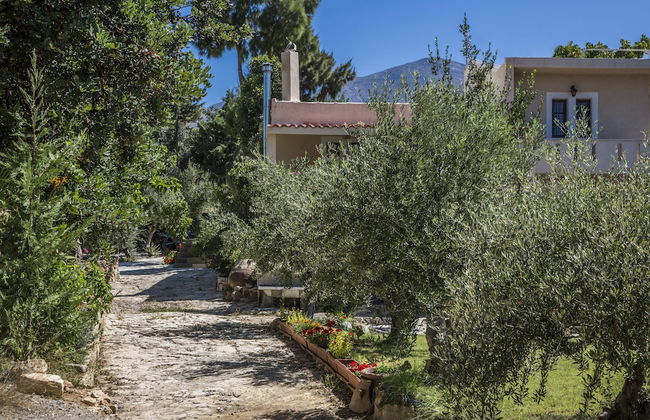 Elisa Villa - Foto 50