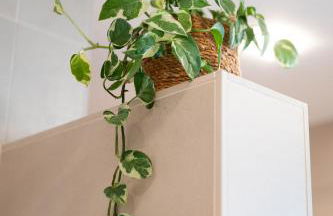 Lilias Ferienwohnung - Foto 17