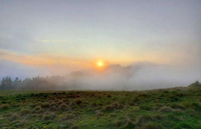 Apartments Am Kirchkogel - Foto 46