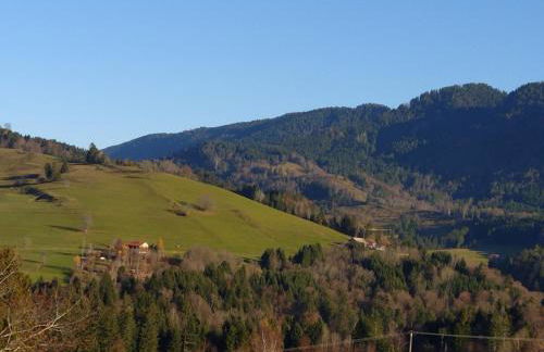 Mailin`s Apartment inkl Oberstaufen Plus Card - Foto 8